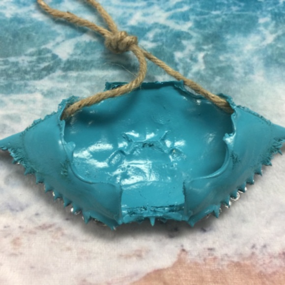 Crab Shell Art Ornament - Picture 5 of 5